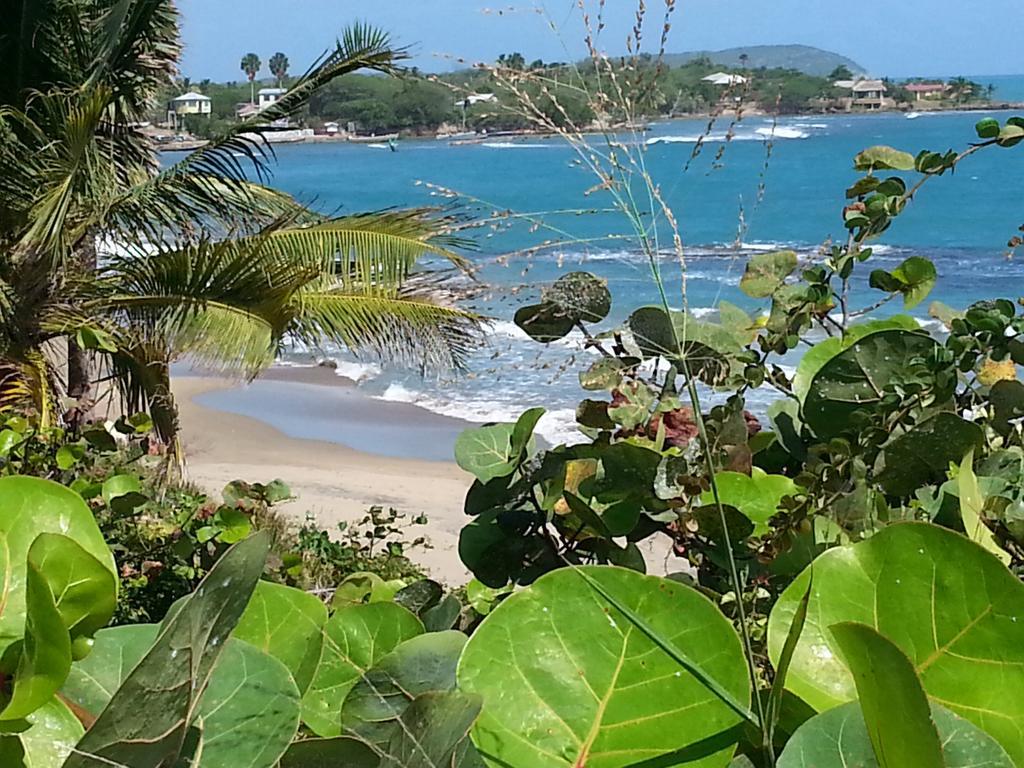 Treasure Beach Hotel Luaran gambar