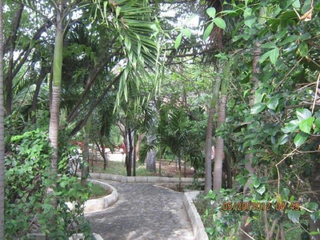 Treasure Beach Hotel Luaran gambar